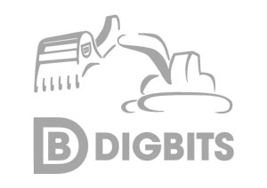  Digbits - 30blk - 300